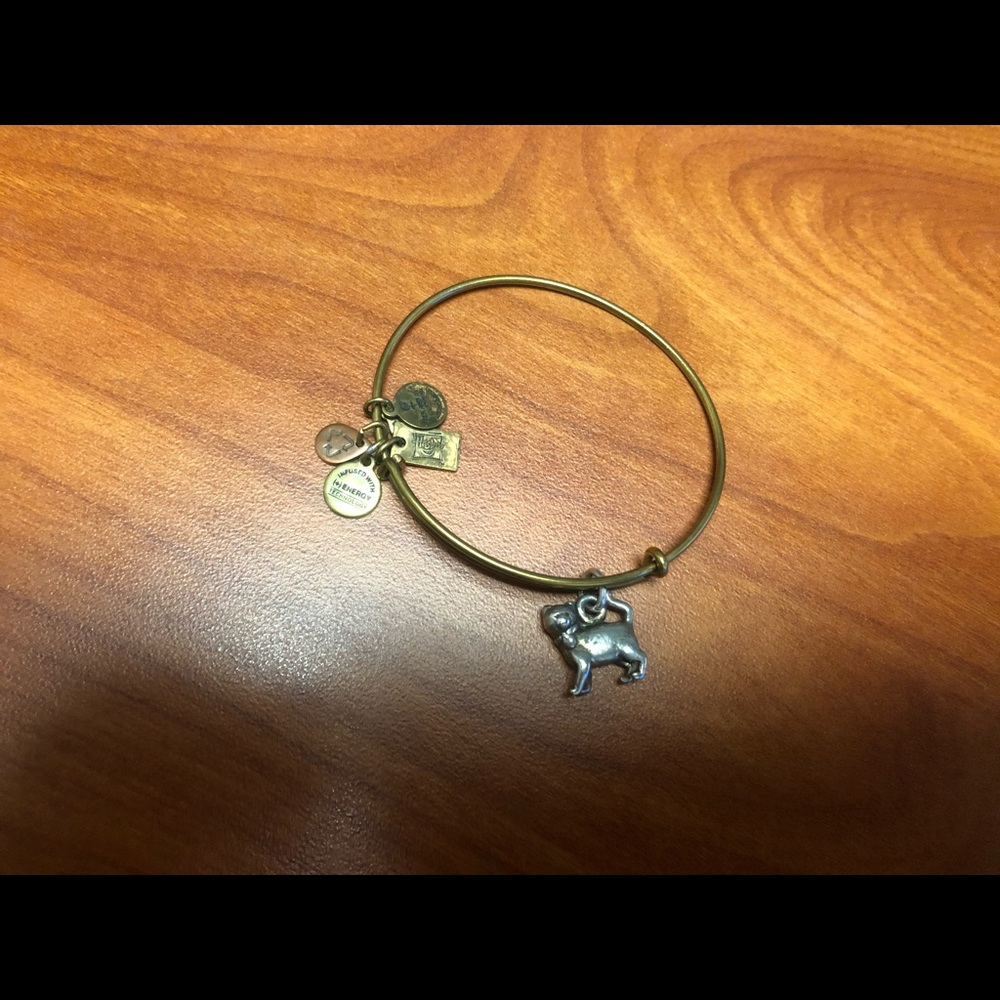 Alex and Ani Cat charm bracelet gold